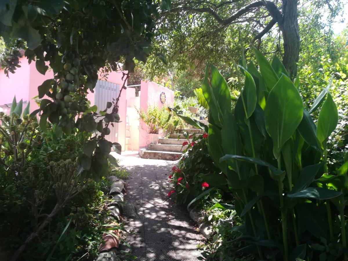 Affitta Camere Casa Delle Rose Villanova Monteleone Bagian luar foto